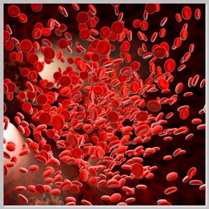 what causes low hematocrit and hemoglobin what causes low hematocrit and hemoglobin